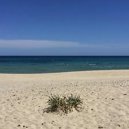 Porto Frailis *